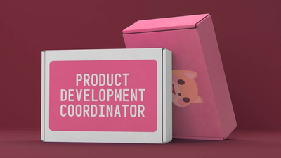 Two cardboard boxes, one in white and one in pink. The forward-facing, white cardboard box has a logo on top that reads "Product Development Coordinator."